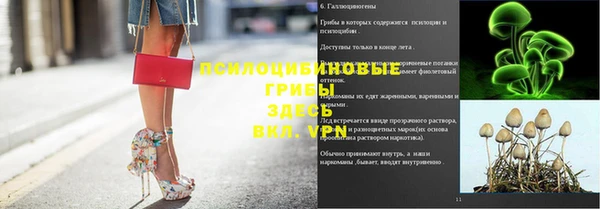 ПСИЛОЦИБИНОВЫЕ ГРИБЫ Вяземский