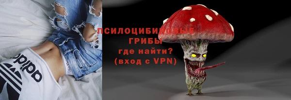 spice Вязники