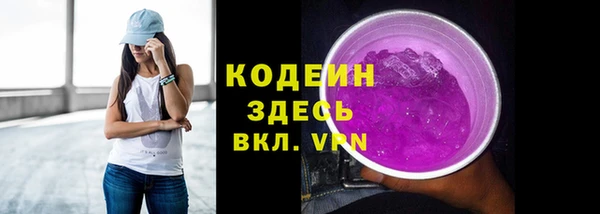 ПСИЛОЦИБИНОВЫЕ ГРИБЫ Вяземский