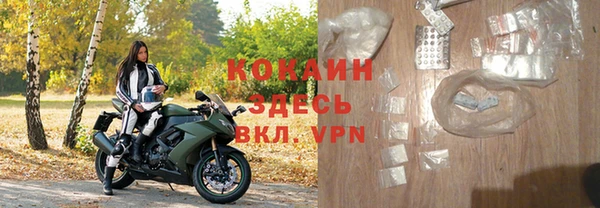 ПСИЛОЦИБИНОВЫЕ ГРИБЫ Вяземский