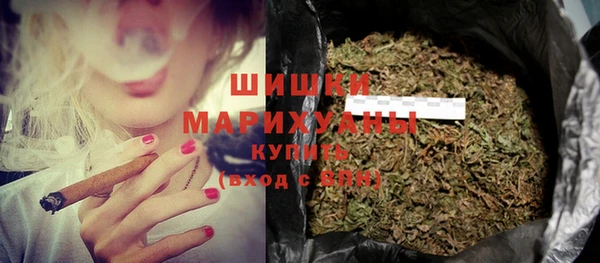 ПСИЛОЦИБИНОВЫЕ ГРИБЫ Вяземский