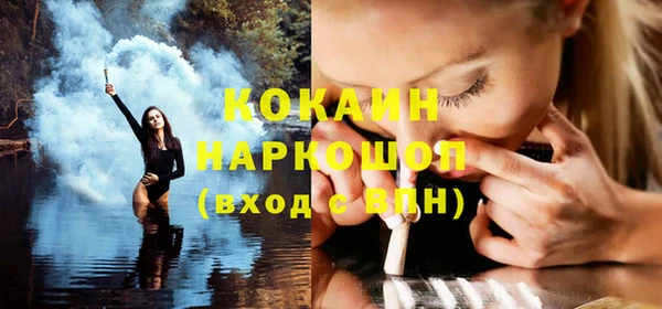 ПСИЛОЦИБИНОВЫЕ ГРИБЫ Вяземский
