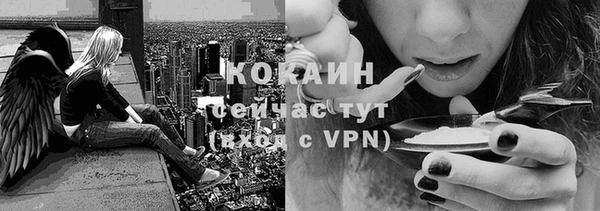spice Вязники