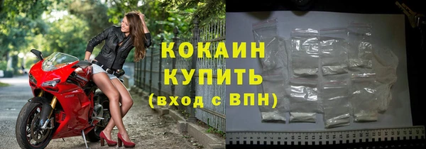 ПСИЛОЦИБИНОВЫЕ ГРИБЫ Вяземский