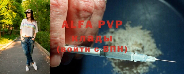 ПСИЛОЦИБИНОВЫЕ ГРИБЫ Вяземский