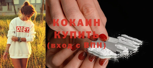 ПСИЛОЦИБИНОВЫЕ ГРИБЫ Вяземский