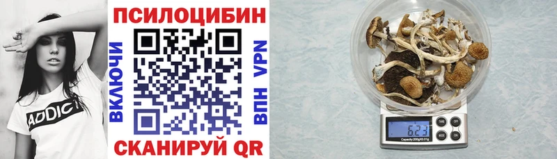 купить наркотик ссылка на мегу сайт Псилоцибиновые грибы прущие грибы Чекалин