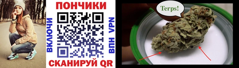 Шишки марихуана тримм  darknet наркотические препараты  Чекалин  KRAKEN зеркало 